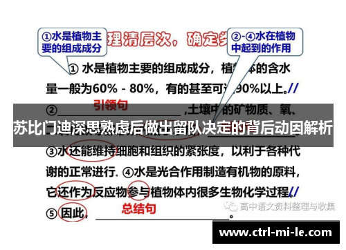 苏比门迪深思熟虑后做出留队决定的背后动因解析