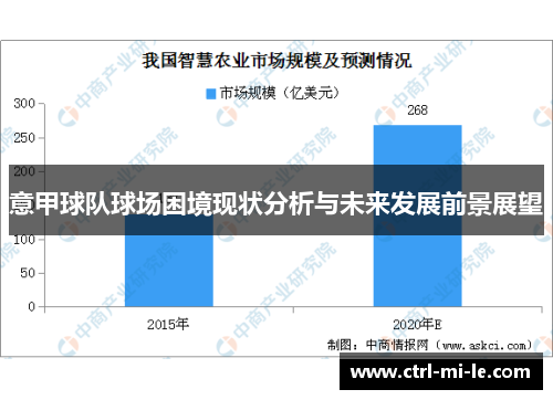 意甲球队球场困境现状分析与未来发展前景展望