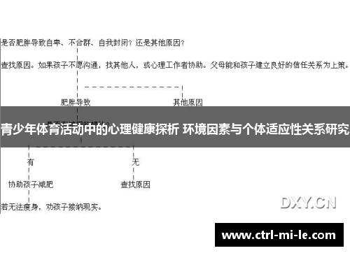 青少年体育活动中的心理健康探析 环境因素与个体适应性关系研究